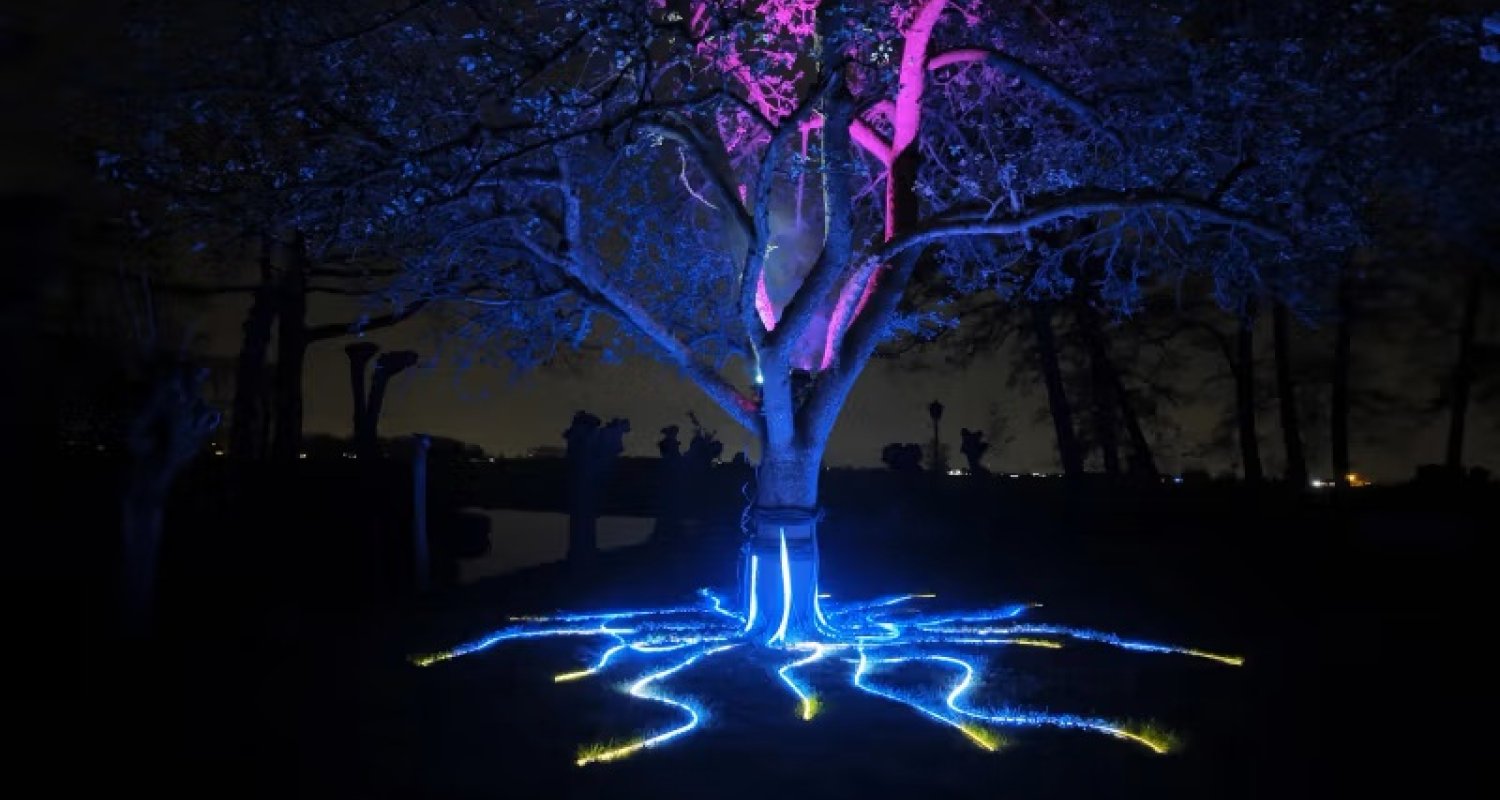 tree of life 1