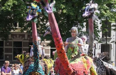 struisvogels walk act struisvogels walk act
