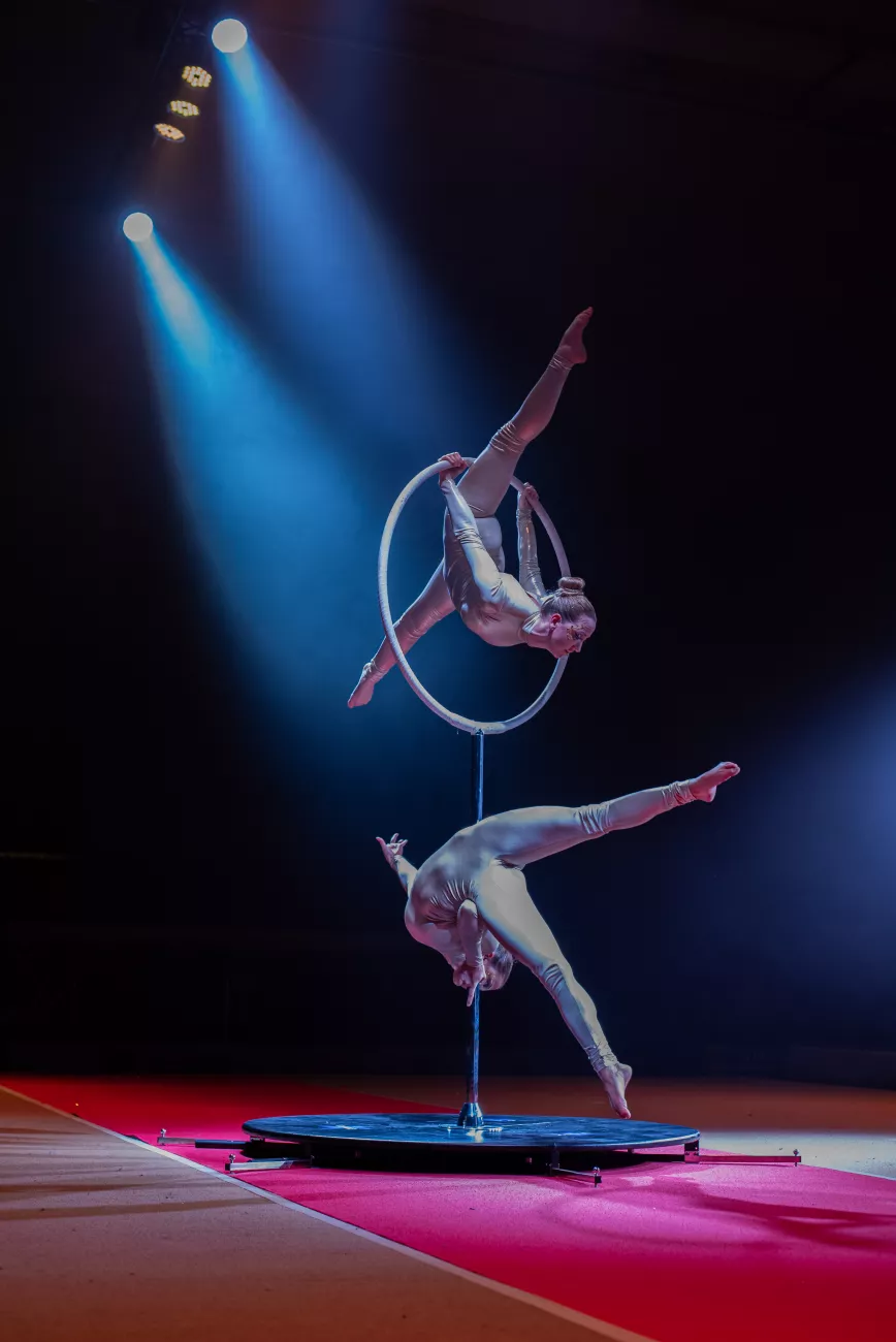 duo ring pole