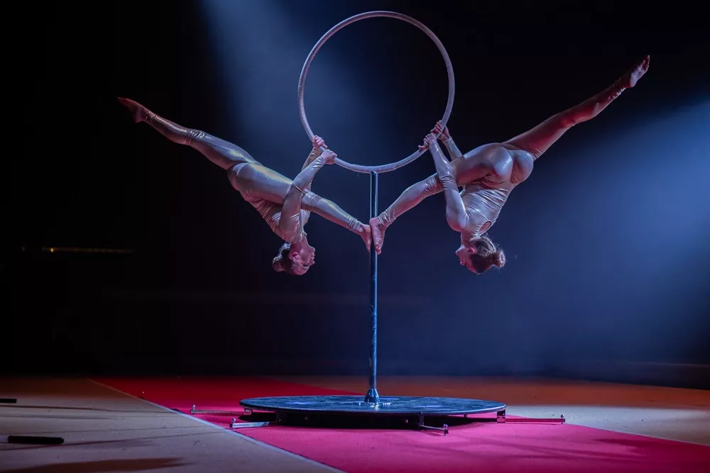 duo ring pole