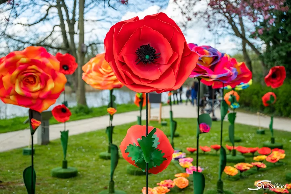 Flowers Alice in Wonderland
