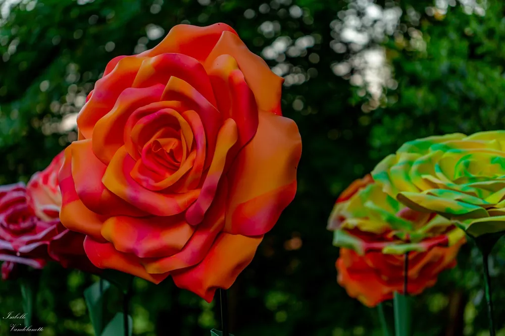 Flowers Alice in Wonderland