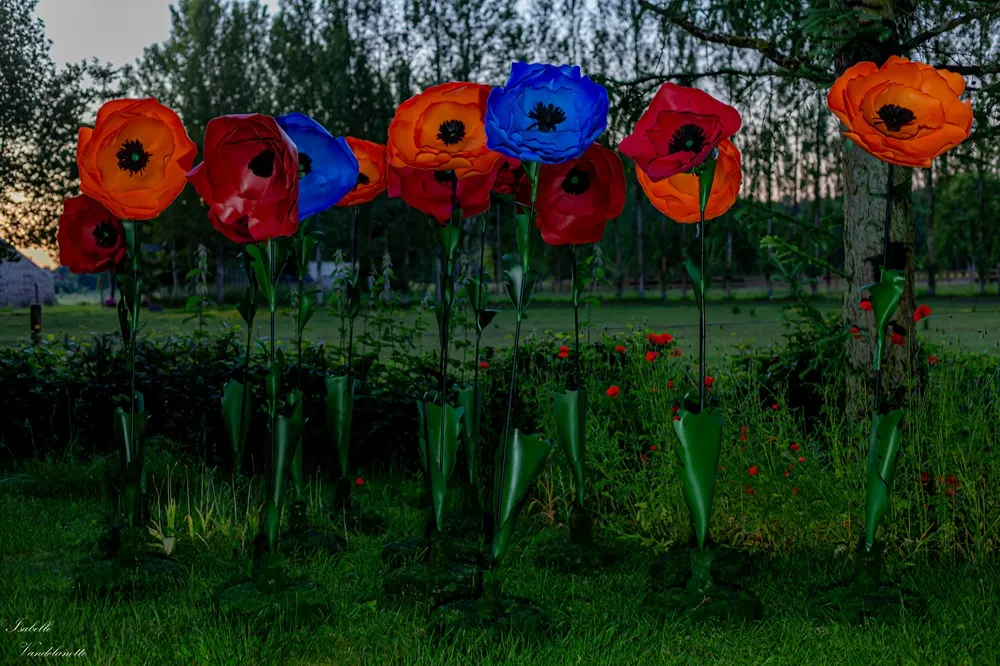 Flowers Alice in Wonderland