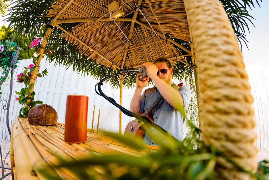 Mobile life muzikant