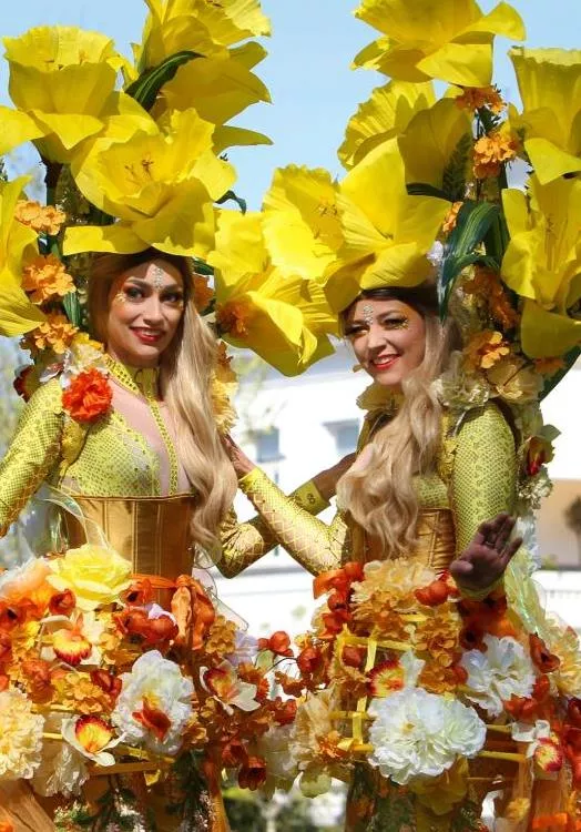 sunshine flowers
