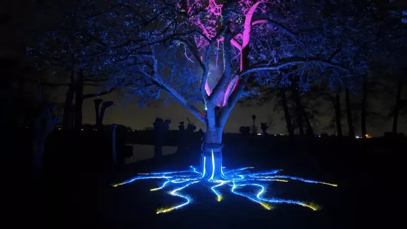 tree of life 1