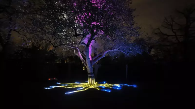 tree of life 4