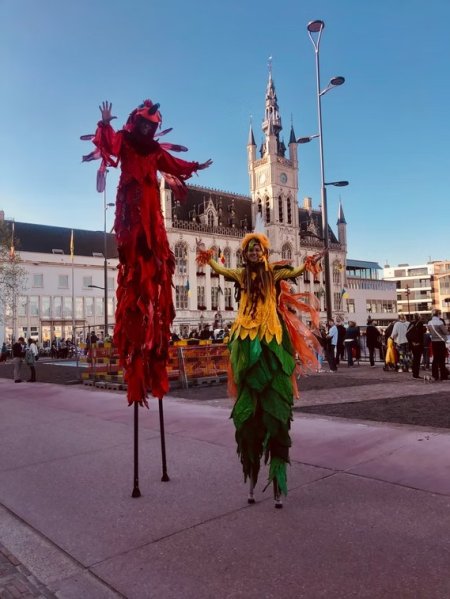 paradijsvogels